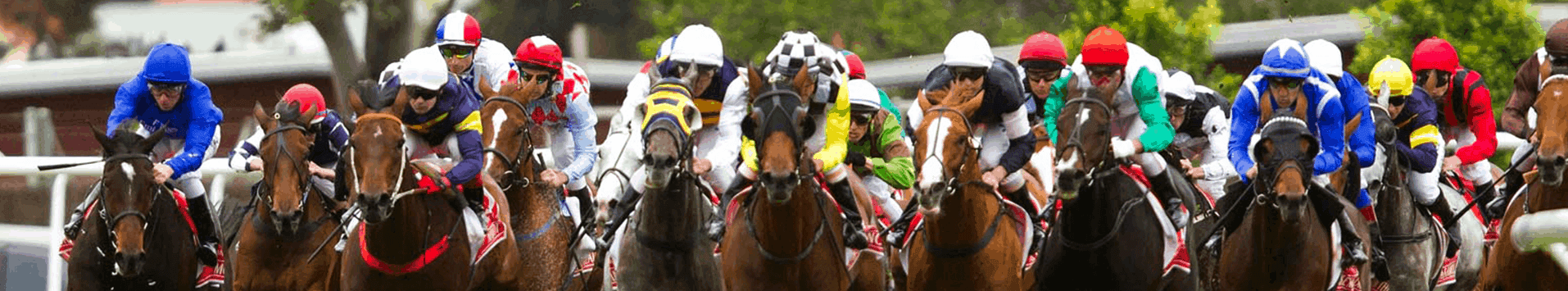 Melbourne Cup Hampers