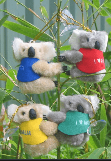 Clip on Koala