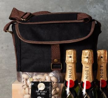 Beer Cooler Bag - 6 bottle caddy cooler