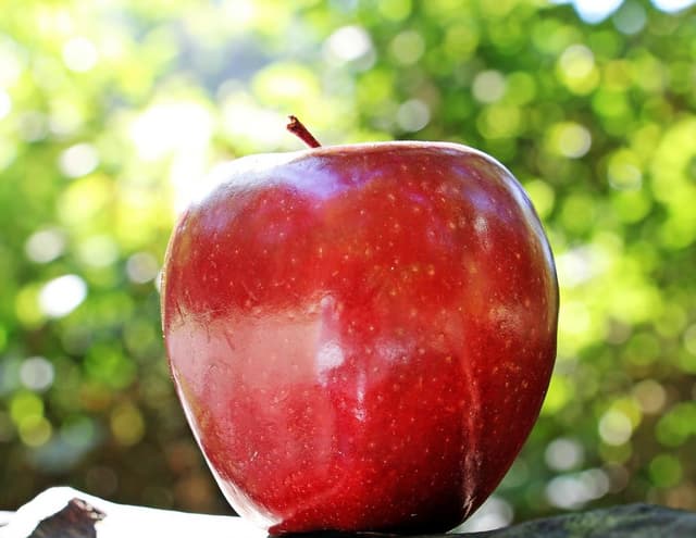 Red Delicious Apple